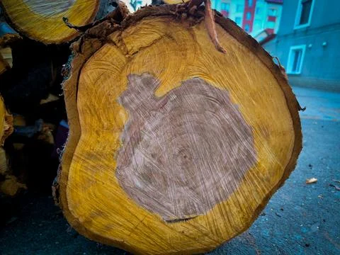 The intricate texture at the heart of the tree. Stock Photos