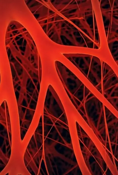 Intricate web of capillaries on dark backdrop a microscopic view of network.. Stock Footage 320591664