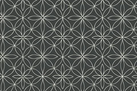 Intricate white geometric pattern on dark gray background イラスト素材