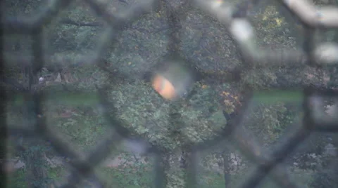 Intricate Window Stock Footage 40807057