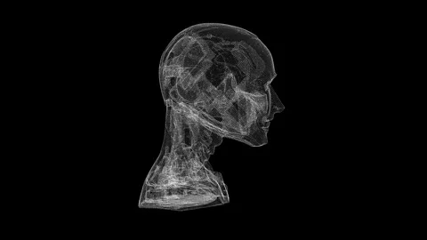 Intricate Wireframe Face Model in Futuristic Black Background Digital Art 库存影片 339207583