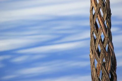 Intricate woven tree trunk pattern against a soft blue and white winter snow  Stock Photos