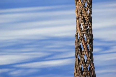 Intricate woven tree trunk pattern against a soft blue and white winter snow  Stock Photos