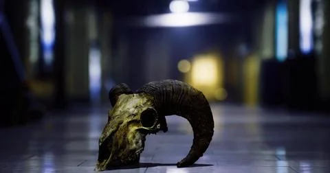 Intriguing ram skull resting on a floor in a dimly lit corridor Stock Illustration
