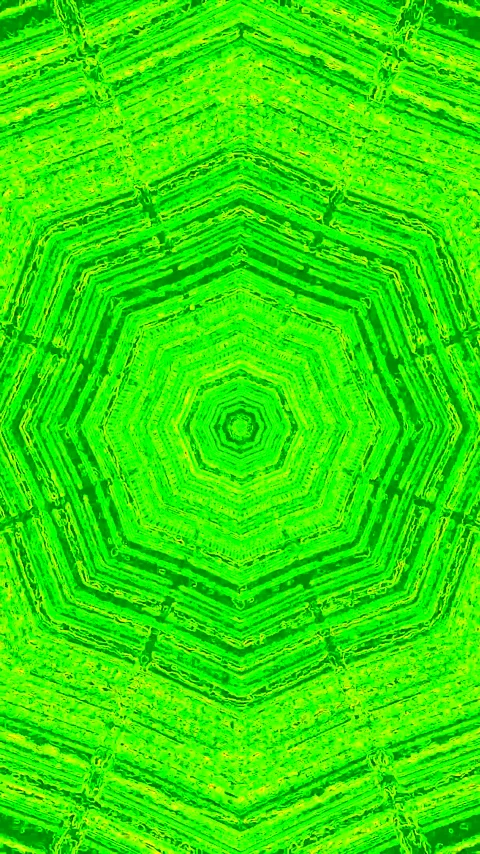 Intriguing tunnel design creates a vibrant green visual experience for seam.. Stock Footage 321262439
