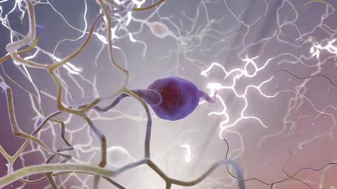 Intro Brain Impulses. Neuron System. Transferring Pulses And Generating Stock Illustration