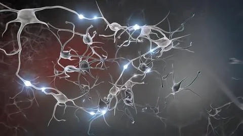 Intro Brain Impulses. Neuron System. Transferring Pulses And Generating Stock Illustration