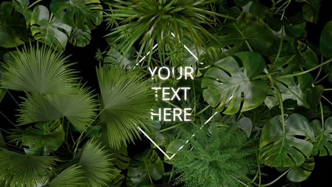 Intro flickering rotated square with neon light covered by tropical leaves Stock After Effects