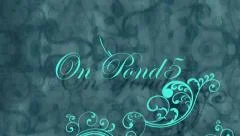Intro flourish your logo Stock After Effects