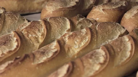 Introduction of the bread in the oven Stock Footage 56483483