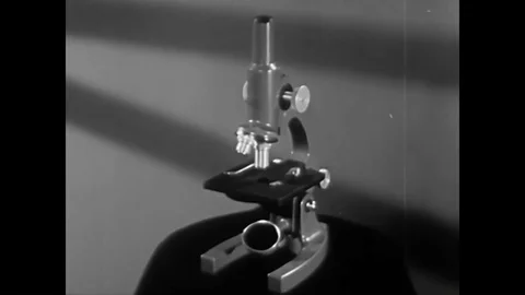 An introductory look at the microscope and its primary function in the 1940s. Video stock 85650006