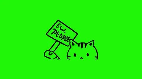 Introvert Cute cate said ew people looping animation on green background Stock Footage 340269799