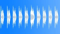 Intruder AlertSound Effect