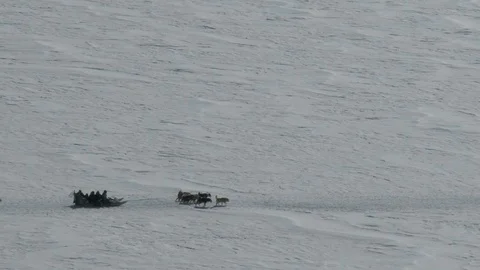 Inuit Sled Stock Footage 104676538