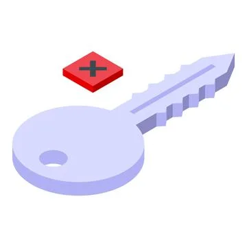 Invalid access key icon isometric vector. Authentication failure 库存插图