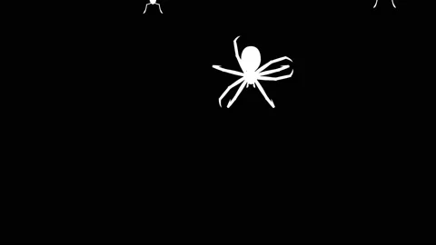 Invasion of arthropods Stock-Footage 90526025