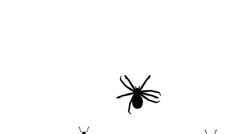 Invasion of arthropods Stock Footage 90526046