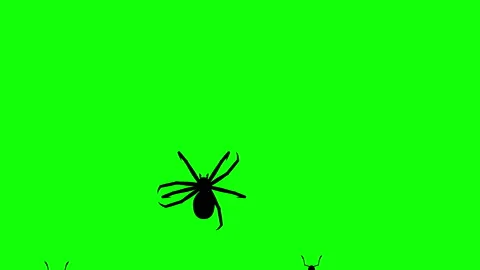 Invasion of arthropods Stockbeeldmateriaal 90529911