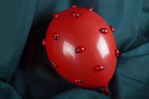 Invasion red balloon ladybug Stock Photos