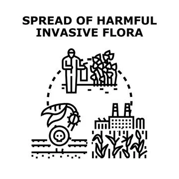 Invasive flora spreading, harmful plants causing ecological problems Stock Illustration