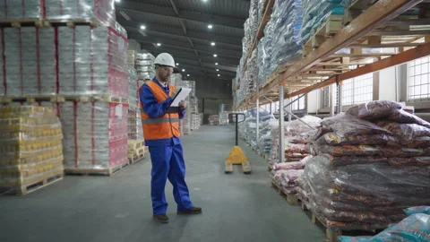 Inventory manager inspecting the stock items collected at the factory warehouse Stock Footage 242203801