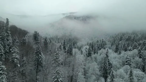 Invernalia Video stock 258970416