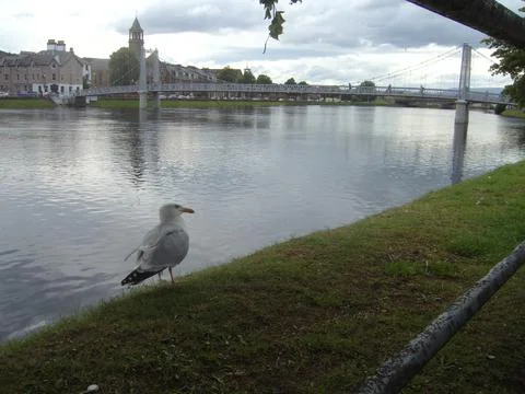 Inverness Stock Photos