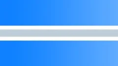 INVERSE SINE WAVE 110 HZ MINUS 12DB LOOPSound Effect