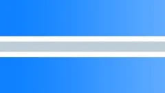 INVERSE SINE WAVE 440 HZ MINUS 12DB LOOP Sound Effect