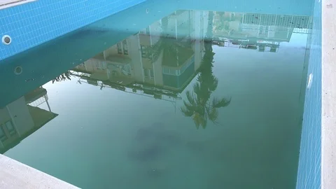 Inversed image of reality reflected in the dirty water of untended pool Stock Footage 87930431