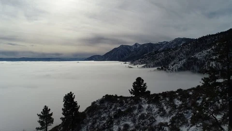 Inversion Layer Through the Trees Stock Footage 101043043