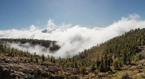 Inversion Foto stock