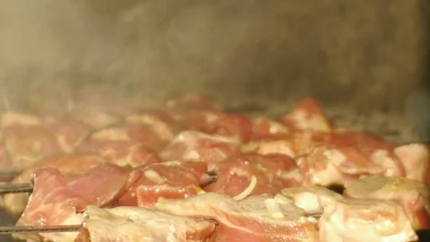 Invert Shish Kebab Stock Footage 78594843