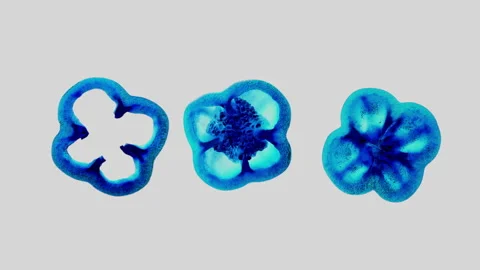 Inverted Color Pepper Slices Rotating on White Background in 60p Stock Footage 337682669