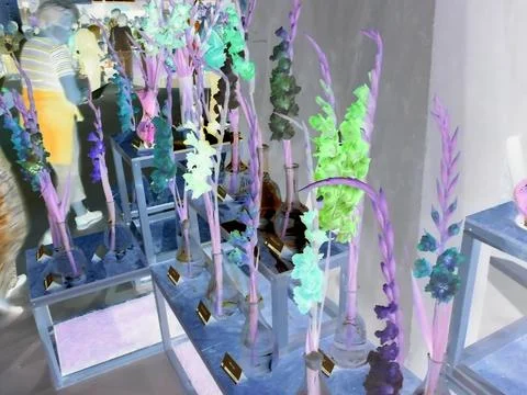 Inverted colors - Multiple various varieties of gladiola flowers with different Stock Photos
