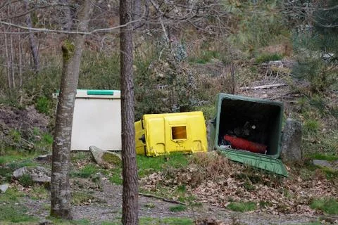 Inverted garbage containers in the forest environmental pollution Stock Photos