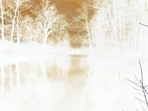 Inverted image - Chilling cold image of dark forest around black water pond. Stock Photos
