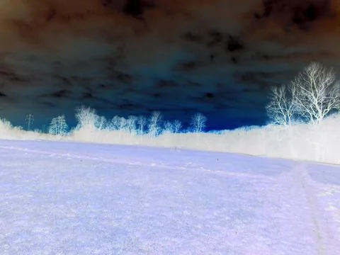 Inverted image - Cloudy evening in snowless winter at meadow with a few trees in Stock Photos