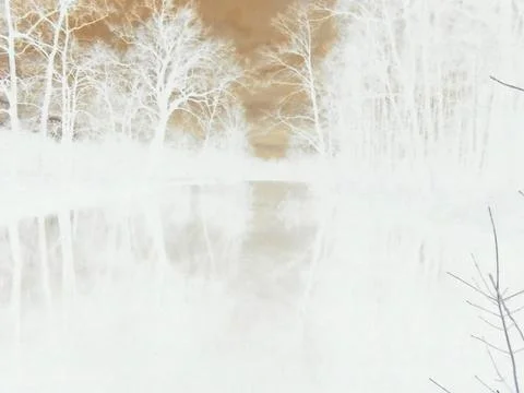 Inverted image - Eerie bare forest and dark clouds surrounding a black pond. Stock Photos
