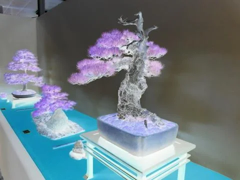 Inverted image - Elderly bonsai pine tree with thick trunk growing from mossy Stock Photos