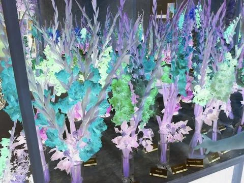 Inverted image - Multiple various varieties of gladiola flowers with different Stock Photos