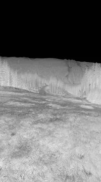 Inverted image - Vertical panoramic image of mountain meadow. Ski slope in Stock Photos