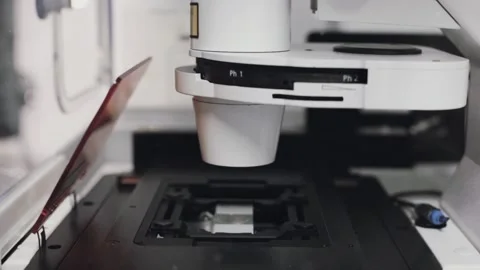 Inverted Phase Contrast Microscope Observing Sample in Laboratory Stock Footage 120883105