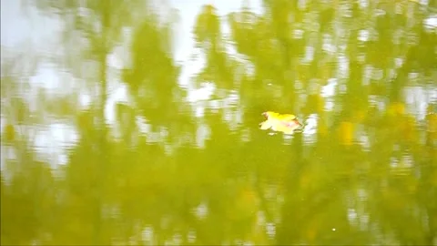 Inverted reflection Vídeo Stock 141880270