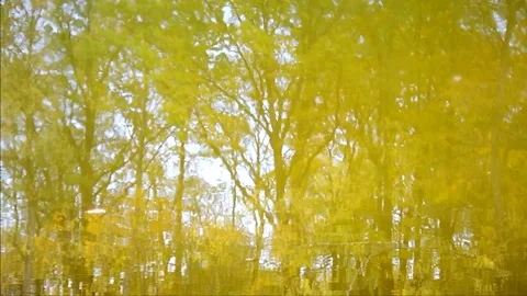 Inverted reflection Stock Footage 141880370