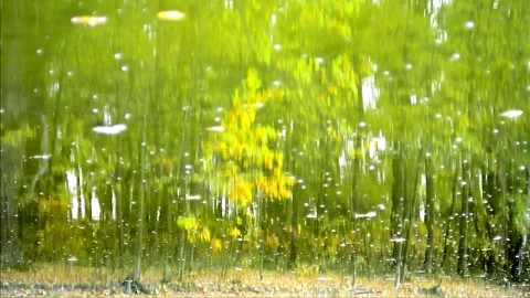 Inverted reflection Stock Footage 141880741