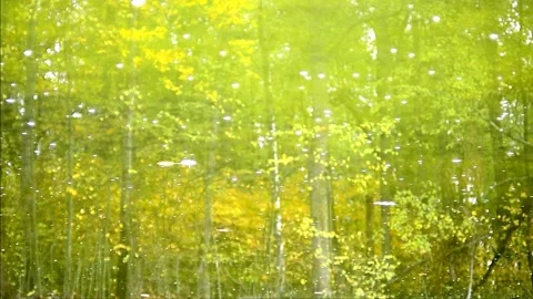 Inverted reflection Stock Footage 141880887