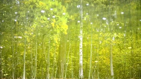 Inverted reflection Stock Footage 141881109