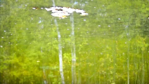 Inverted reflection Stock Footage 141881126