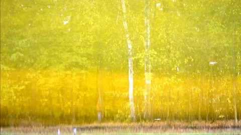 Inverted reflection Stock Footage 141881338